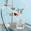 Coaxial Nozzle